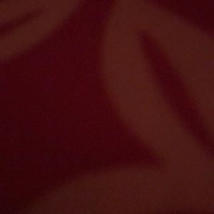 Meet your Posher, Leanne